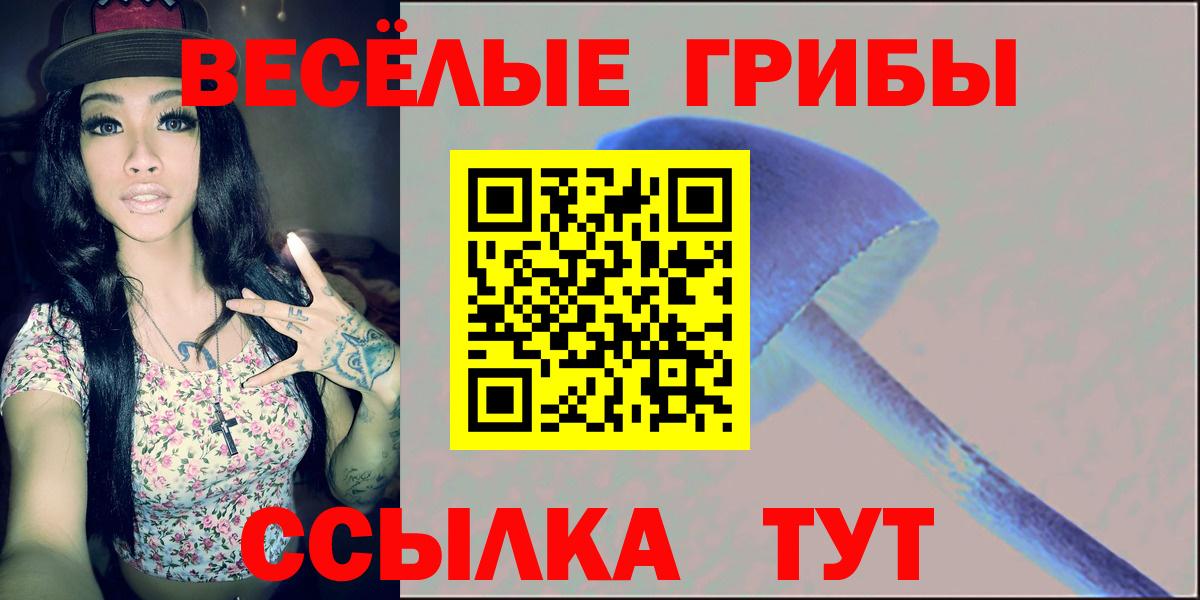 Псилоцибиновые грибы мухоморы Улан-Удэ