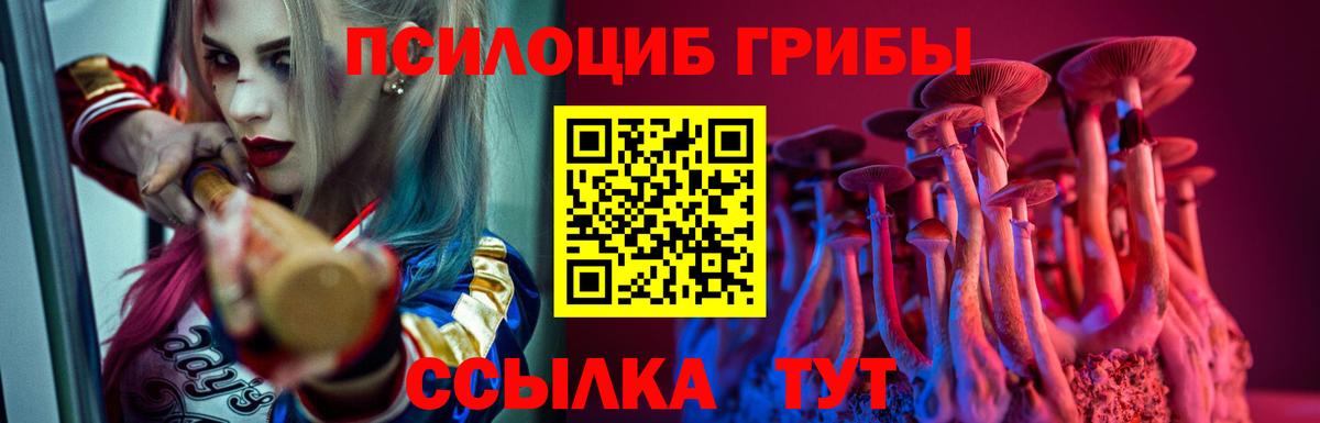 Галлюциногенные грибы GOLDEN TEACHER  где купить наркоту  Улан-Удэ  Вход с VPN  Галлюциногенные грибы GOLDEN TEACHER 